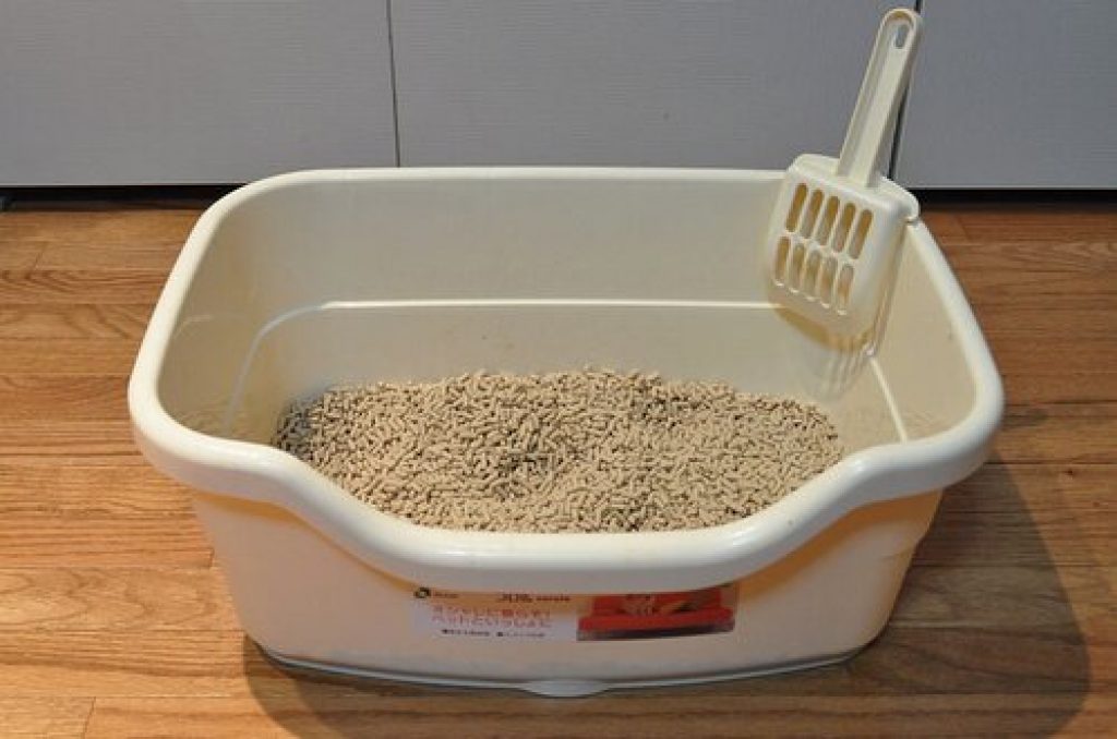 11 Incredible Baking Soda Hacks To Make Your Life Easier