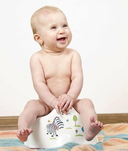 When should I start potty training? What is the right age for potty training?